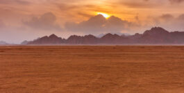 世界一過酷なレース「ダカール・ラリー」の歴史と魅力